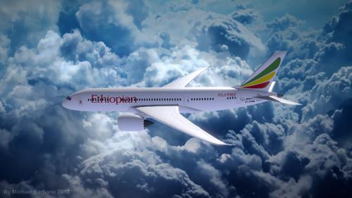 Ethiopian Dreamliner preview image